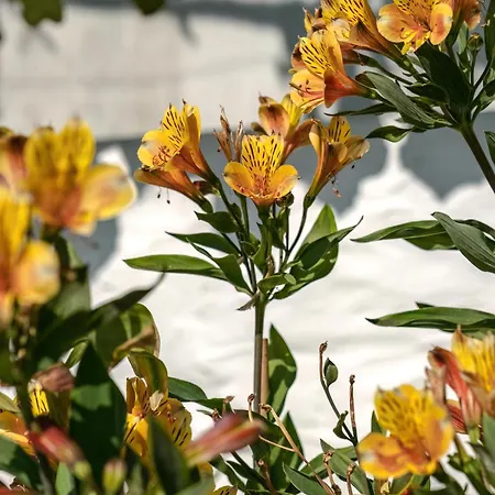 Lovers Appartement *